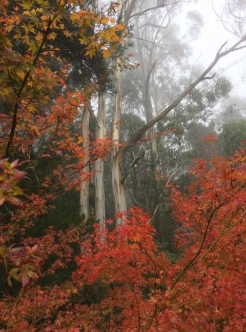 Olinda Enchanted Tower Spa Gas Log Fire And Netflix - Hotel Accommodation 2