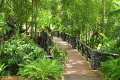 Paddington Pad With Back Deck And Free Car Space Close To Suncorp - Hotel Accommodation 2