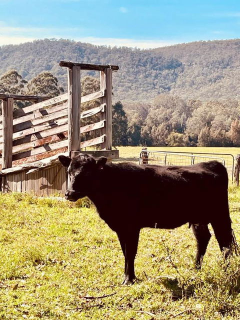 Peppercorns Riverside Farm Stay - Hotel Accommodation 0