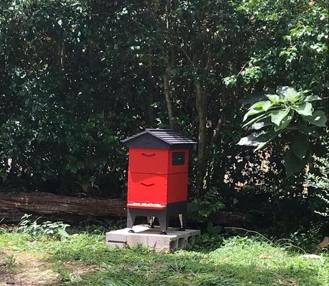 PK Illusions - Hotel Accommodation 3