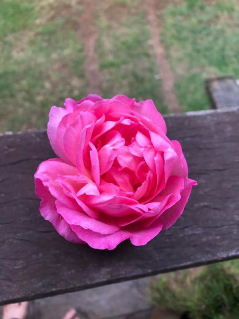 PK Illusions - Hotel Accommodation 1