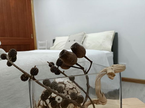 Quiet Nature-Filled Ground Floor Unit - Hotel Accommodation 1