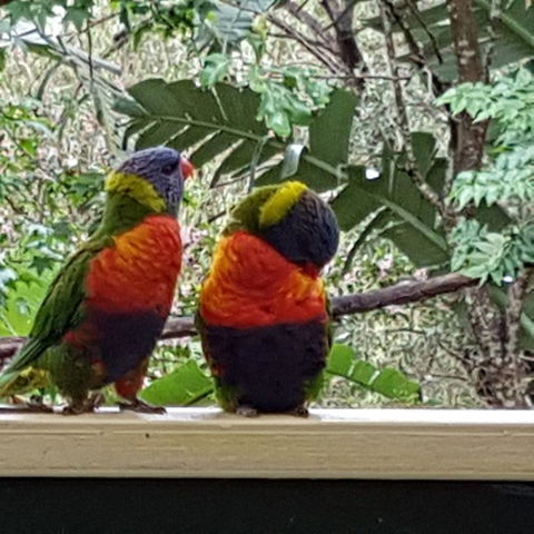 Avoca Beach Cape Cottage - Hotel Accommodation 3