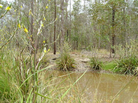 Back To The Bush - Hotel Accommodation 2