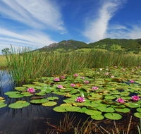 Barrington Hideaway- River Cottages - Hotel Accommodation