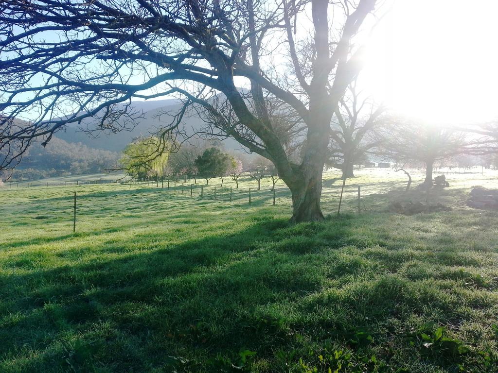 Mongans Bridge VIC Hotel Accommodation