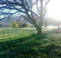 Bay Creek Guest House - Hotel Accommodation