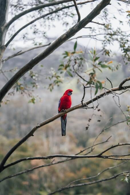Riverside Cabin 18 Thredbo - Hotel Accommodation 1