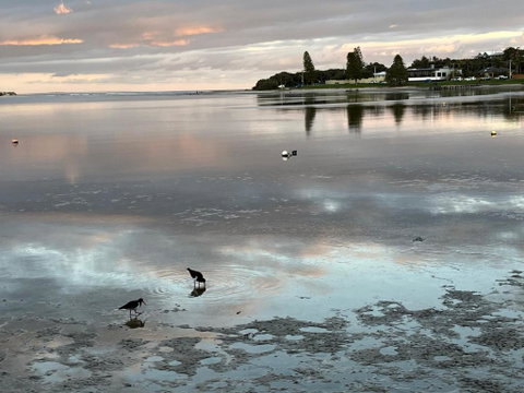 River Studio - Idyllic Location - Hotel Accommodation 0