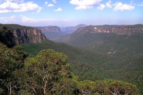 Ribbon Gum Lodge - Hotel Accommodation 1
