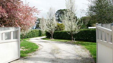Robin Hill Manor - Hotel Accommodation 2