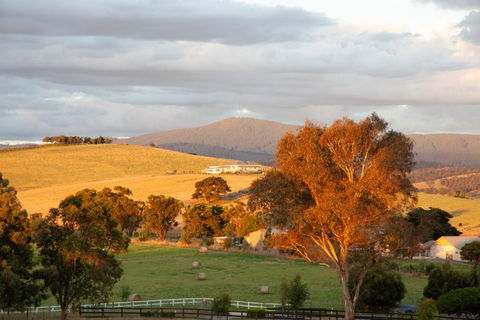 Rose Cottage Yarra Glen - Hotel Accommodation 1