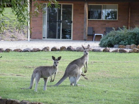 Rubyvale Motel & Holiday Units - An Adults Only Getaway - Hotel Accommodation 3