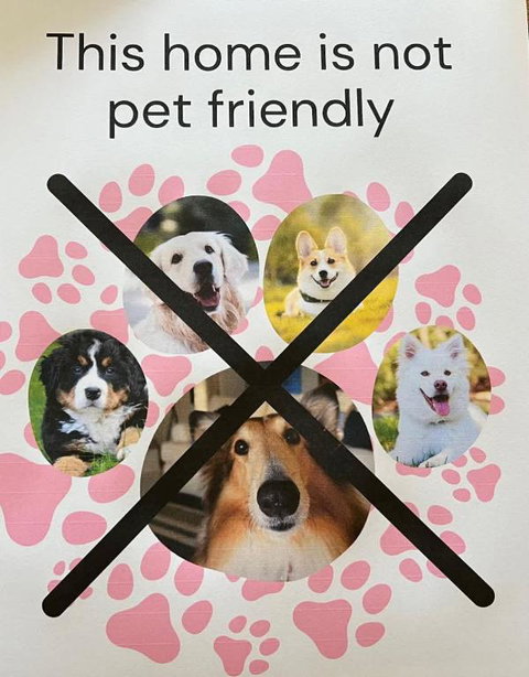 Saltwater Bungalow - WiFi - Hotel Accommodation 1