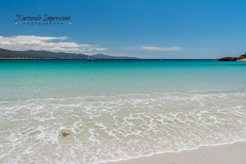 Sea Shanty - Hotel Accommodation 1