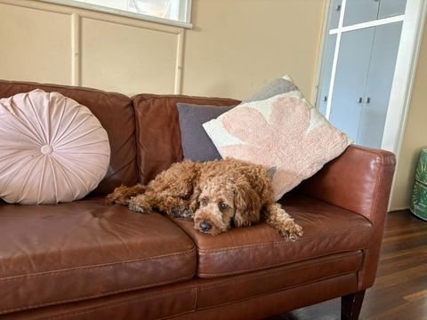 Seaside Sea Shanty - Hotel Accommodation 2