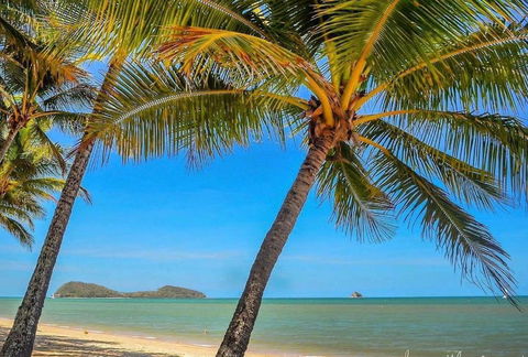 SeaTurtle - Hotel Accommodation 3