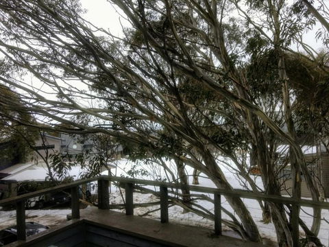 Secret Hut - Hotel Accommodation 2