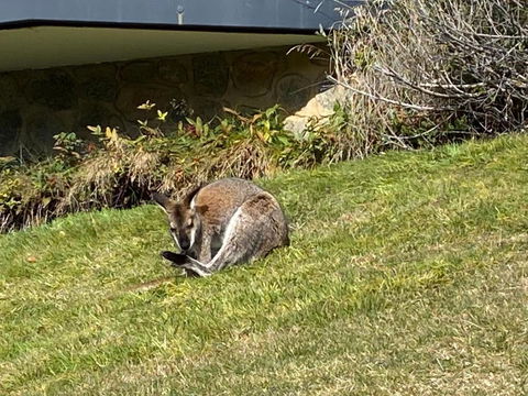 Sitzmark 1 - Hotel Accommodation 1