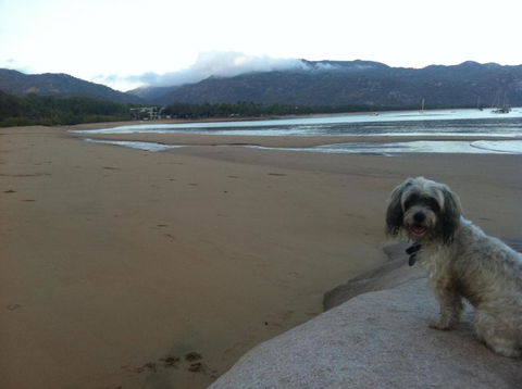 STUNNING MAGNETIC ISLAND HOME, PRIVATE, LARGE POOL, CHILDREN AND PETS On REQUEST PLEASE - Hotel Accommodation 1