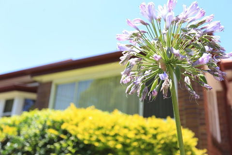 Sydney, Bexley North Holiday Home 3bedrooms, Free Parking, Close To Train Station And CBD - Hotel Accommodation 1