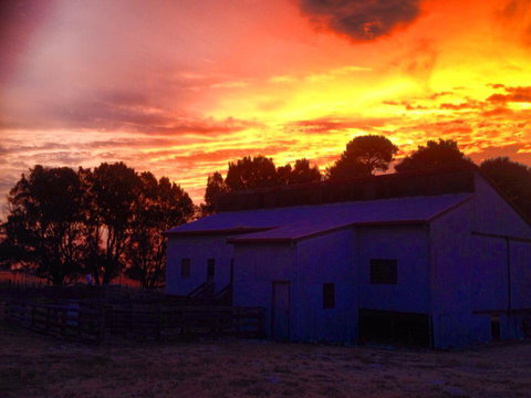 Beggs Farmstay B&B - Hotel Accommodation 1