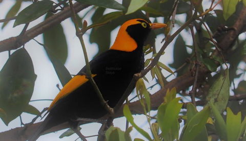 Bellthorpe Stays - Hotel Accommodation 3