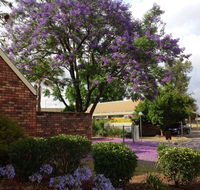 Belvoir Village Motel  Apartments Wodonga - Hotel Accommodation