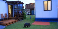Book Kelso Accommodation Vacations Hotel Accommodation Hotel Accommodation