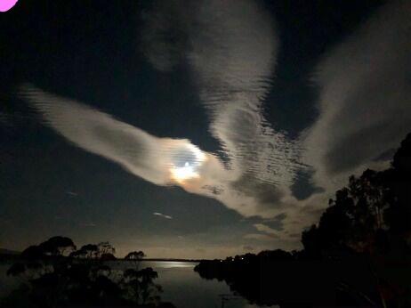 Blue Waters Holiday Cottages - Hotel Accommodation 2