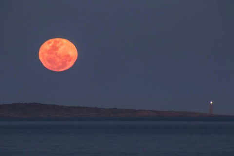 Blue Waters Holiday Cottages - Hotel Accommodation 1