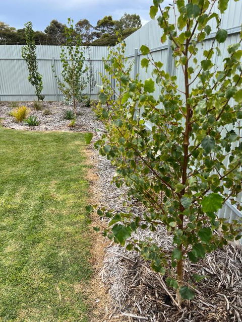 White Hut On Golflinks - Hotel Accommodation 1