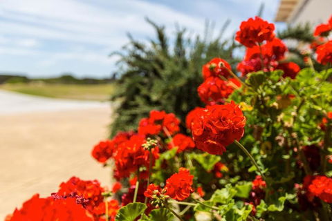 Wytonia Beachfront Accommodation - Hotel Accommodation 3