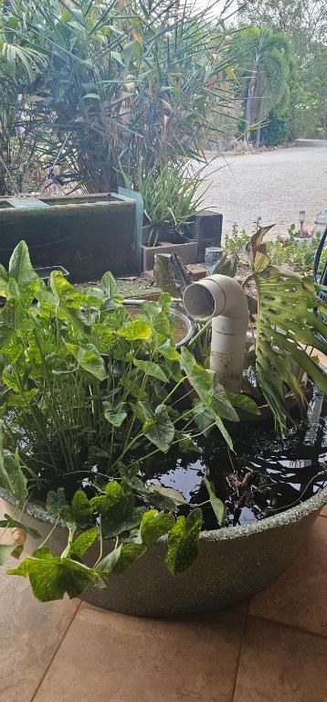 Almost Off Grid Tranquillity - Hotel Accommodation 4