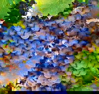 The Fully Local Private Tour - Hotel Accommodation