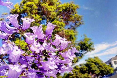 Big Perth (Private) Day Tour - Hotel Accommodation 3