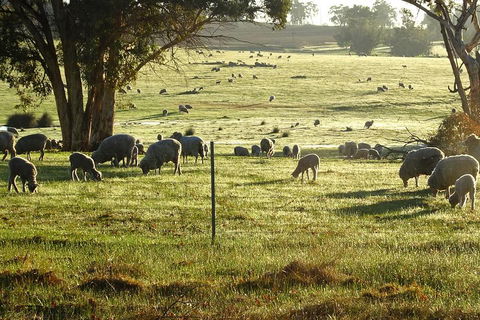 The Big Wave Rock (Private) Day Tour - Hotel Accommodation 1