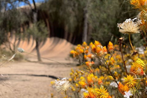 The Big Wave Rock (Private) Day Tour - Hotel Accommodation 3