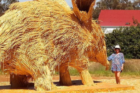 The Big Wave Rock (Private) Day Tour - Hotel Accommodation 5