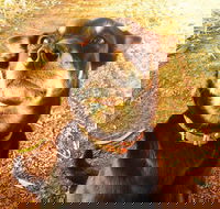 Perth Kids Explorer Private Day Tour - Hotel Accommodation