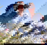 Spring Wildflower Private Day Tours - Hotel Accommodation