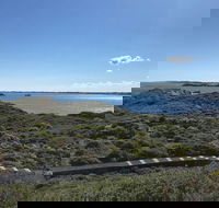 Penguin Island And Fremantle - Canoe Chocolate  Coffee - Hotel Accommodation