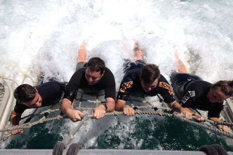 Cruise In Moreton Bay Marine Park And Moreton Island - Hotel Accommodation 0