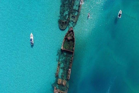 Cruise In Moreton Bay Marine Park And Moreton Island - Hotel Accommodation 1