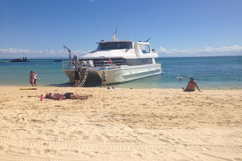 Cruise In Moreton Bay Marine Park And Moreton Island - Hotel Accommodation 4