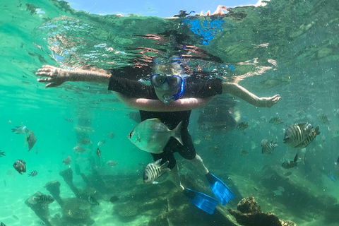 Cruise In Moreton Bay Marine Park And Moreton Island - Hotel Accommodation 5