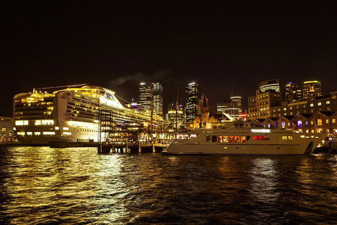 Private Tour: Sydney At Night - Hotel Accommodation 2