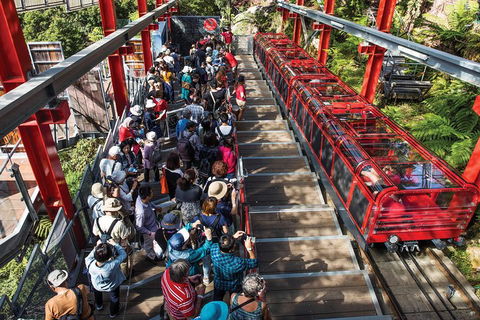 Private Guided Tour: Blue Mountains Tour From Sydney - Hotel Accommodation 1