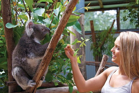 Private Guided Tour: Blue Mountains Tour From Sydney - Hotel Accommodation 5