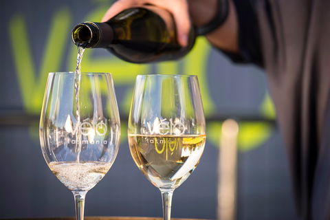 Half Day Tamar Valley Wine Tour - Hotel Accommodation 0